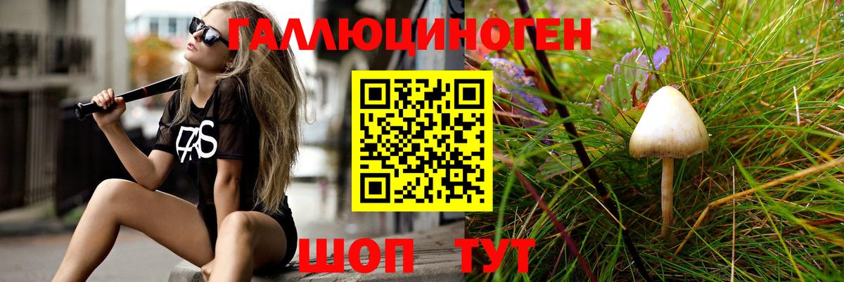 Псилоцибиновые грибы ЛСД Апатиты